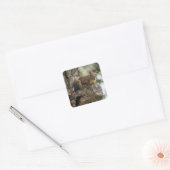 An inquisitive squirrel perched on a tree branch. vierkante sticker (Envelop)