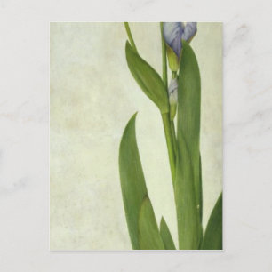 An Iris Briefkaart