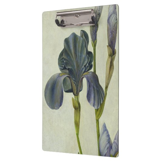 An Iris Klembord (Links)