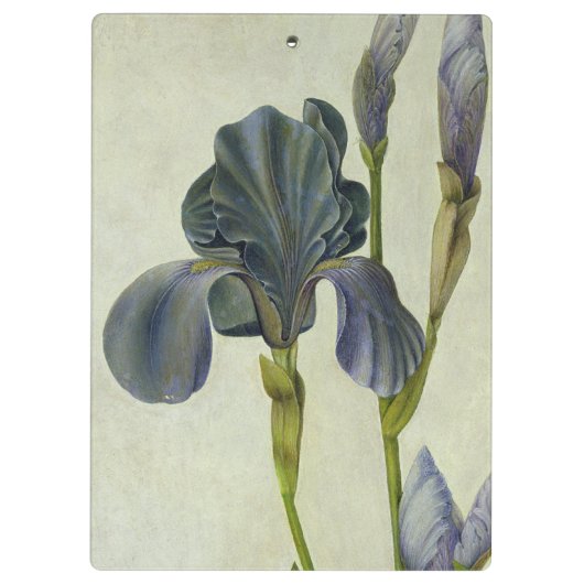 An Iris Klembord (Achterkant)