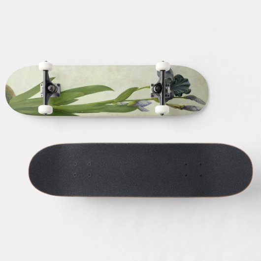 An Iris Persoonlijk Skateboard (Horizontaal)