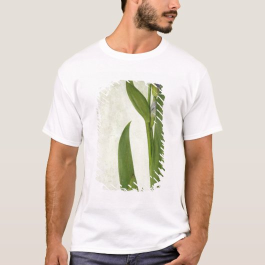 An Iris T-shirt (Voorkant)