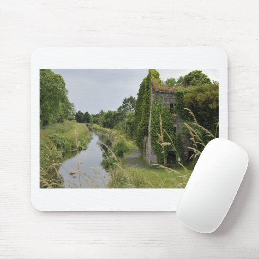 An Irish Canal Muismat (Met muis)