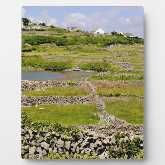 An Irish Stone Wall Fotoplaat (Voorkant)