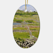 An Irish Stone Wall Keramisch Ornament (Links)