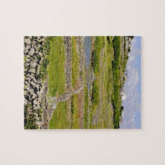 An Irish Stone Wall Legpuzzel (Horizontaal)