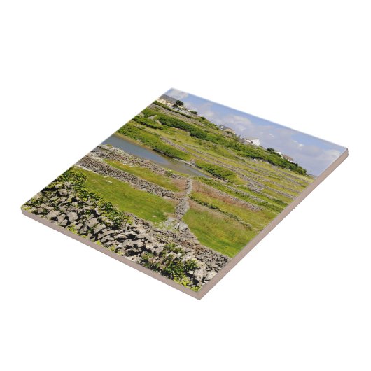 An Irish Stone Wall Tegeltje (Zijkant)