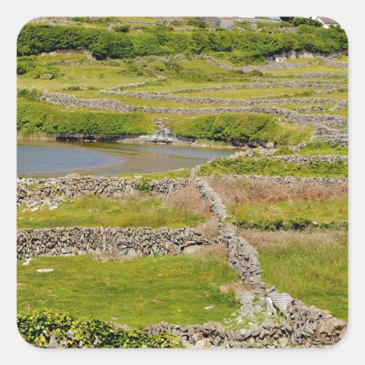An Irish Stone Wall Vierkante Sticker (Voorkant)
