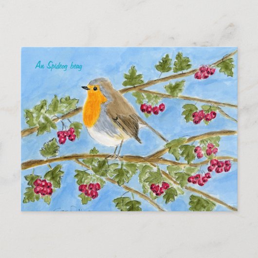 An Spideog beag ansichtkaart Briefkaart (Voorkant)