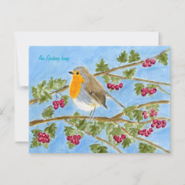 An Spideog beag postcard Briefkaart