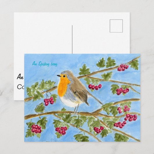 An Spideog beag postcard Briefkaart (Voorkant / Achterkant)