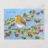 An Spideog beag postcard Briefkaart (Voorkant)