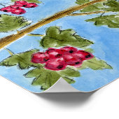 An Spideog beag Poster (Hoek)