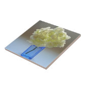 anabelle hydrangea tegeltje (Zijkant)