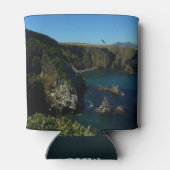 Anacapa-eiland in het Kanaaleilanden Blikjeskoeler (Achterkant)