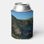 Anacapa-eiland in het Kanaaleilanden Blikjeskoeler (Blikje Achterkant)