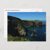 Anacapa-eiland in het Kanaaleilanden Briefkaart (Voorkant / Achterkant)