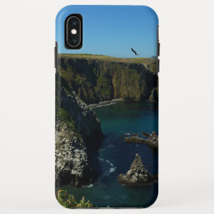 Anacapa-eiland in het Kanaaleilanden Case-Mate iPhone Case