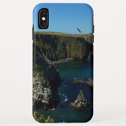 Anacapa-eiland in het Kanaaleilanden Case-Mate iPhone Case (Achterkant)