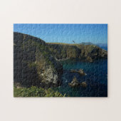 Anacapa-eiland in het Kanaaleilanden Legpuzzel (Horizontaal)
