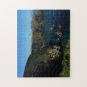 Anacapa-eiland in het Kanaaleilanden Legpuzzel (Verticaal)