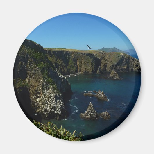 Anacapa-eiland in het Kanaaleilanden Magneet (Voorkant)