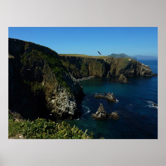 Anacapa-eiland Scenic View bij Channel Islands Poster (Voorkant)