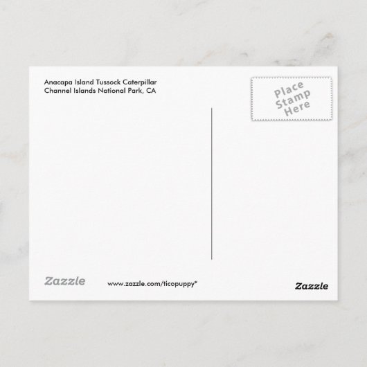 Anacapa Island Tussock Caterpijler Briefkaart (Achterkant)