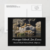Anacapa Island, Zee Lions Briefkaart (Voorkant / Achterkant)