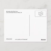 Anacapa Island, Zee Lions Briefkaart (Achterkant)