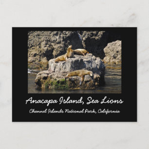 Anacapa Island, Zee Lions Briefkaart