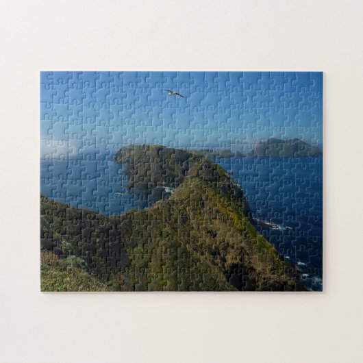 Anacapa's inspiratiepunt I op de Kanaaleilanden Legpuzzel (Horizontaal)