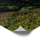 Anacapa's inspiratiepunt I op de Kanaaleilanden Poster (Hoek)