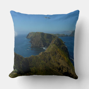 Anacapa's Inspiration Point I in Kanaaleilanden Kussen