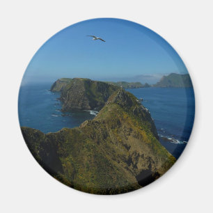 Anacapa's Inspiration Point I in Kanaaleilanden Magneet