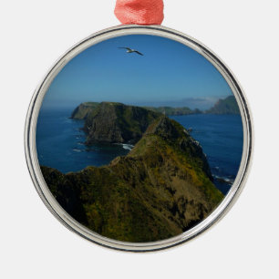 Anacapa's Inspiration Point I in Kanaaleilanden Metalen Ornament