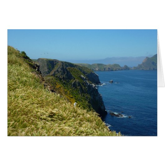 Anacapa's Inspiration Point II bij Channel Islands (Voorkant Horizontaal)