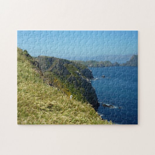 Anacapa's Inspiration Point II bij Channel Islands Legpuzzel (Horizontaal)