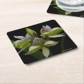 Anacheilium Chacoense Kartonnen Onderzetters (Schuin)