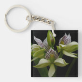 Anacheilium Chacoense Sleutelhanger (Voorkant)