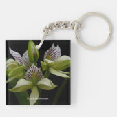 Anacheilium Chacoense Sleutelhanger (Achterkant)