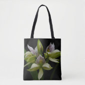 Anacheilium Chacoense Tote Bag (Voorkant)