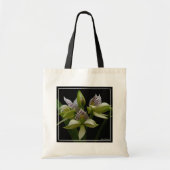 Anacheilium Chacoense Tote Bag (Voorkant)