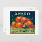 Anaco Apple Crate Label Briefkaart (Voorkant / Achterkant)