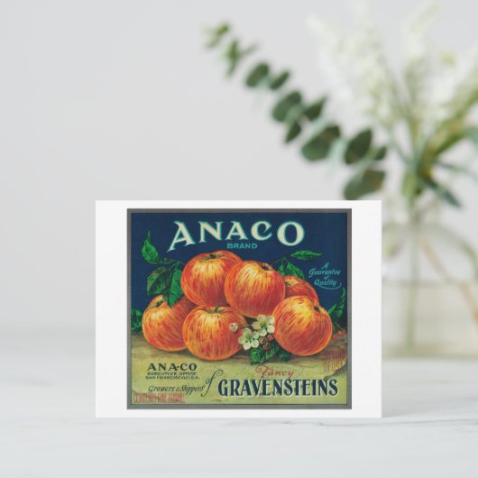 Anaco Apple Crate Label Briefkaart (Staand voorkant)