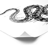 Anaconda Foto Afdruk (Hoek)