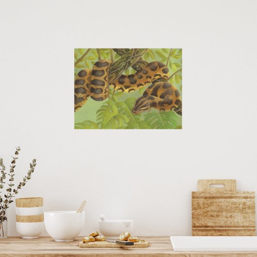 Anaconda Poster (Keuken)