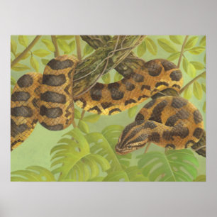 Anaconda Poster