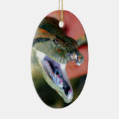 Anaconda snake jaws openen grote hoeken blootstell keramisch ornament (Rechts)