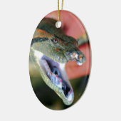 Anaconda snake jaws openen grote hoeken blootstell keramisch ornament (Links)